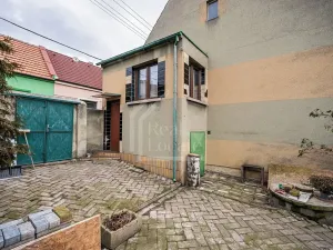 Prodej rodinného domu, Třebusice, 470 m2