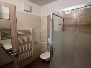 Pronájem bytu 1+kk, Praha - Vršovice, Pod soutratím, 37 m2