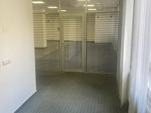 Pronájem obchodního prostoru, Tábor, Světlogorská, 163 m2