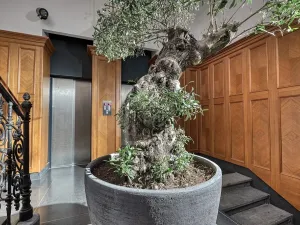 Pronájem kanceláře, Praha - Nové Město, Lazarská, 110 m2