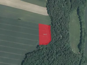 Prodej pole, Trhové Dušníky, 12554 m2