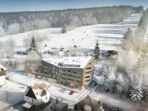 Prodej bytu 1+kk, Železná Ruda, 39 m2