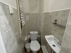 Pronájem bytu 1+1, Praha - Žižkov, Seifertova, 32 m2