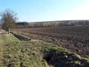 Prodej pozemku pro bydlení, Libina, 1180 m2