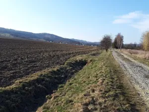 Prodej pozemku pro bydlení, Libina, 12500 m2