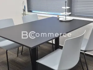 Pronájem kanceláře, Brno, Holandská, 240 m2