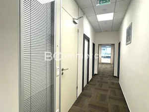 Pronájem kanceláře, Brno, Holandská, 240 m2