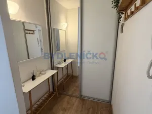 Pronájem bytu 3+1, České Budějovice, Mánesova, 85 m2