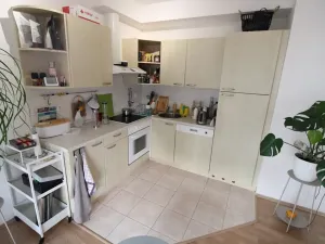 Pronájem bytu 2+kk, Praha - Břevnov, Šlikova, 75 m2