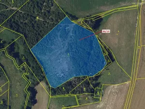 Dražba lesa, Žižkovo Pole, 12727 m2