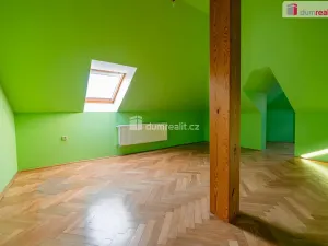Prodej rodinného domu, Mladá Boleslav, Viničná, 350 m2