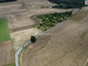 Prodej pozemku, Sýkořice, 3943 m2