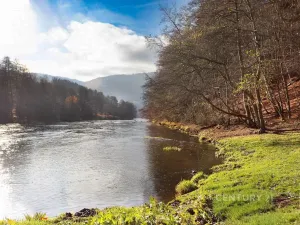 Prodej pozemku, Stráž nad Ohří, 1136 m2