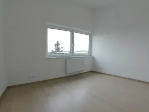 Pronájem rodinného domu, Plzeň, Dlasková, 108 m2