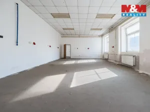 Prodej výrobních prostor, Načeradec, Zámecké náměstí, 1800 m2