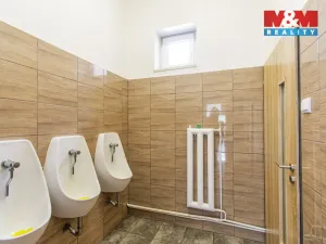 Prodej restaurace, Slezské Rudoltice, 360 m2