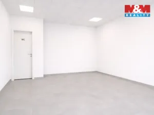 Prodej obchodního prostoru, Mladá Boleslav, 17. listopadu, 39 m2