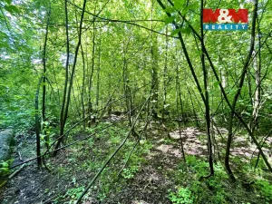 Prodej rybníku, Skalice u České Lípy, 3255 m2