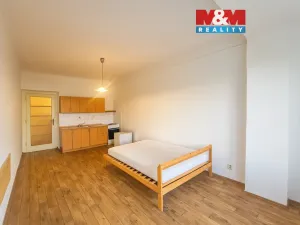 Pronájem bytu 1+kk, Praha - Nusle, V Horkách, 25 m2