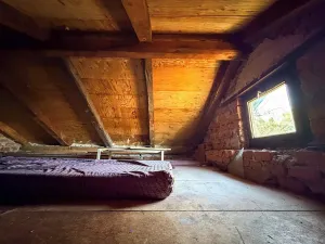 Prodej chaty, Vysoké Mýto, Vinice, 17 m2