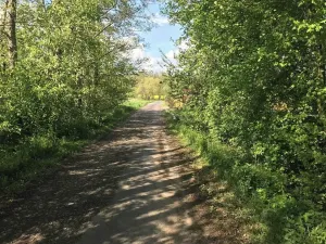 Prodej pozemku pro bydlení, Dobříkov, 1247 m2