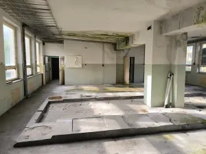 Prodej obchodního prostoru, Zlaté Hory, Na Sídlišti, 313 m2