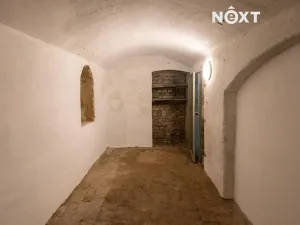 Prodej - jiné, Praha - Nusle, Ctiradova, 12 m2