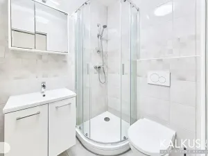 Prodej bytu 2+1, Svoboda nad Úpou, Nový svět, 38 m2