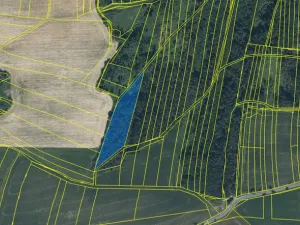 Prodej lesa, Blížejov - Lštění, 7793 m2