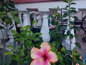 Prodej rodinného domu, Scalea, Kalábrie, Itálie, 72 m2