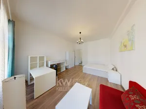 Pronájem bytu 1+1, Praha - Nové Město, Krakovská, 42 m2