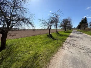 Prodej pozemku pro bydlení, Chocnějovice, 5604 m2