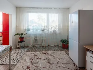 Prodej bytu 1+1, Praha - Troja, Krynická, 29 m2