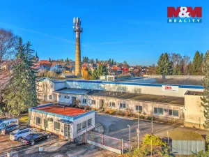 Prodej výrobních prostor, Miletín, Lhotova, 22000 m2