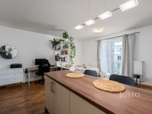 Prodej bytu 1+kk, České Budějovice, Husova tř., 36 m2