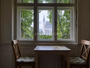 Prodej ubytování, Český Krumlov, Horská, 469 m2