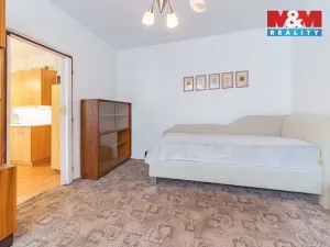 Prodej bytu 1+1, Cheb, Palackého, 36 m2