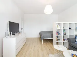 Pronájem bytu 1+1, Ostrava, Zelená, 36 m2