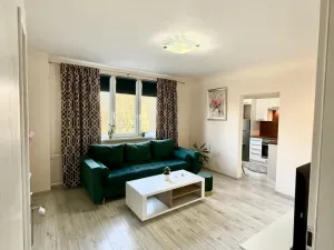 Prodej bytu 2+1, Frýdek-Místek - Frýdek, Jana Čapka, 45 m2