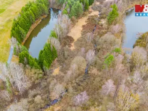 Prodej rybníku, Dvory nad Lužnicí, 8649 m2