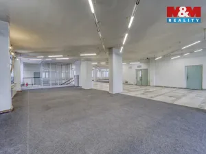 Pronájem obchodního prostoru, Plzeň - Severní Předměstí, alej Svobody, 641 m2