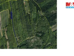 Prodej lesa, Luhačovice, 13296 m2