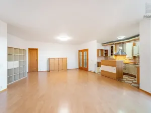 Prodej bytu 4+kk, Brno, Mojžíšova, 171 m2