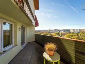 Prodej bytu 4+kk, Brno, Mojžíšova, 171 m2