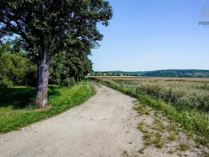 Prodej pozemku pro bydlení, Viničné Šumice, 1648 m2