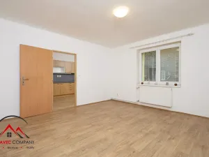 Pronájem bytu 1+1, Ostrava, Palackého, 41 m2