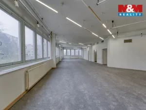 Pronájem výrobních prostor, Plzeň - Severní Předměstí, alej Svobody, 641 m2