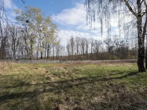 Prodej pozemku, Žarošice, 19082 m2