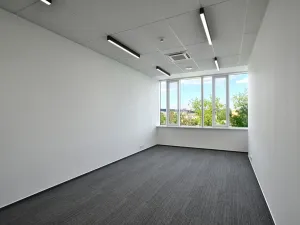 Pronájem kanceláře, Brno, Jana Babáka, 90 m2