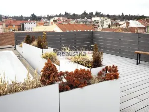 Pronájem bytu 1+kk, Brno, Údolní, 43 m2